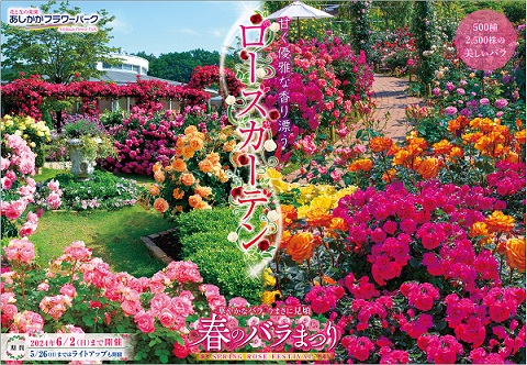 春のローズガーデン