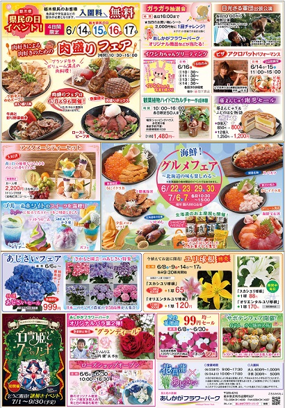 ブルー＆ホワイトガーデン