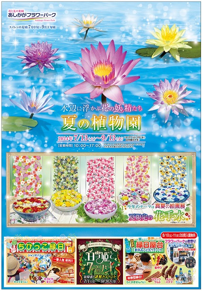 水辺に浮かぶ花の妖精たち