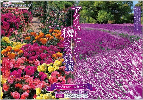 パープル＆ローズガーデン2024