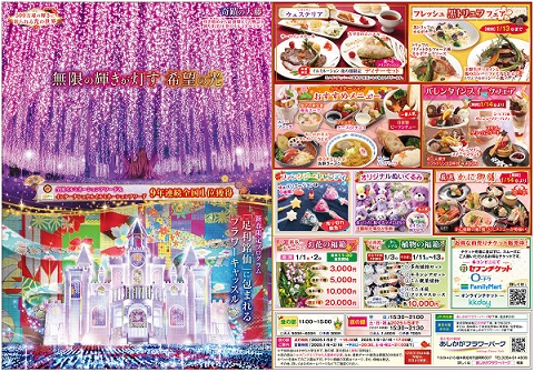 2024年「光の花の庭」第五弾