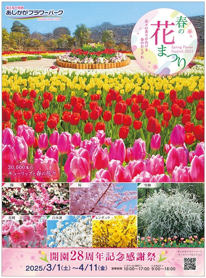 春の花まつり Spring Flower Festival 2025