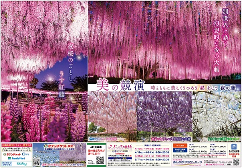 ふじのはな物語2025_第一弾