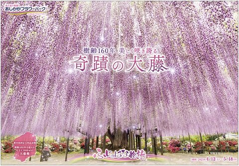 ふじのはな物語2025_第一弾