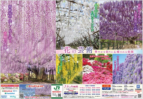 ふじのはな物語2025_第三弾