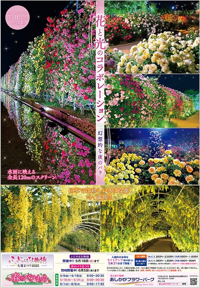 春のローズガーデン