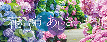 花菖蒲・あじさいまつり