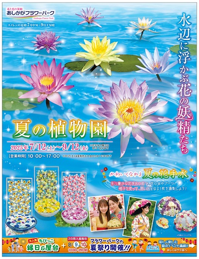 水辺に浮かぶ花の妖精たち