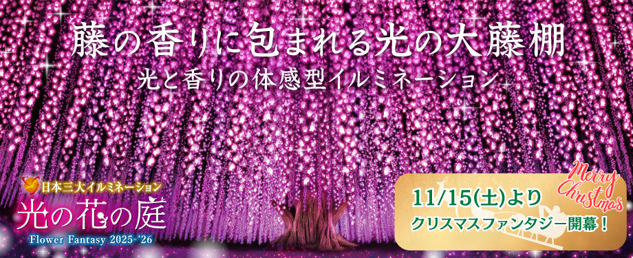 2025_光の花の庭