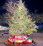 新登場Xmasﾂﾘｰ