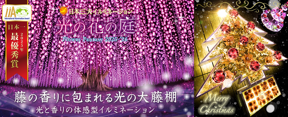 2025_光の花の庭