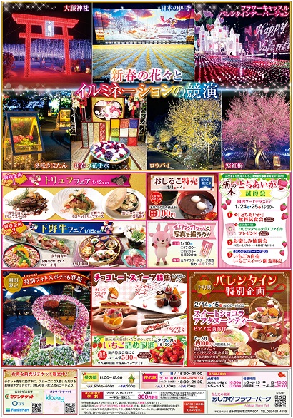 2025年「光の花の庭」第四弾