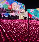 ﾌﾗﾜｰｷｬｯｽﾙ新春.ver