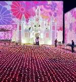 ﾌﾗﾜｰｷｬｯｽﾙ新春ver.