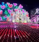 ｷｬｯｽﾙﾊﾞﾚﾝﾀｲﾝ.ver