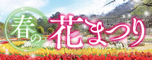 春の花まつり