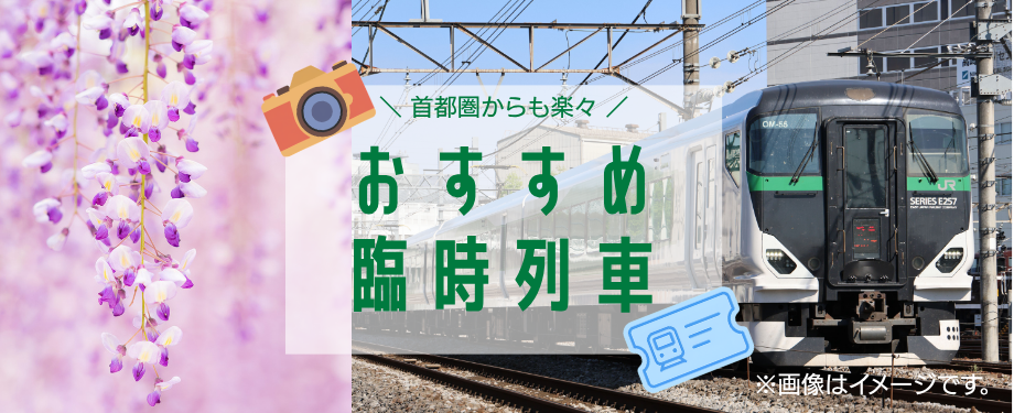 電車で行く　あしかがフラワーパークの旅