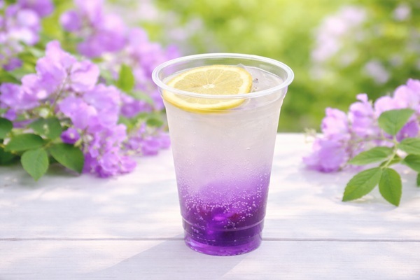 ゆず藤サイダー