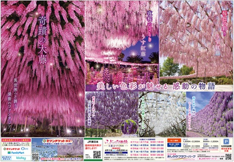 ふじのはな物語2025_第一弾