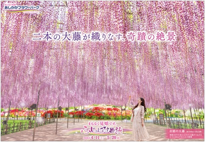 2026.04 ふじのはな物語2025_第二弾