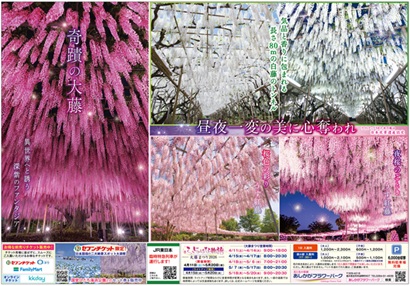 2026.04 ふじのはな物語2025_第二弾