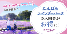 たんばらラベンダーパーク