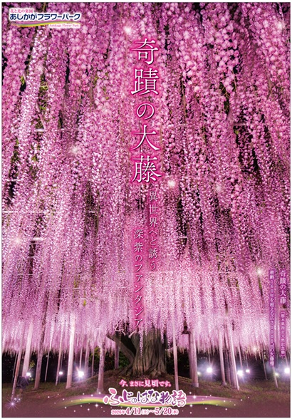 2026.04 ふじのはな物語2026_第三弾