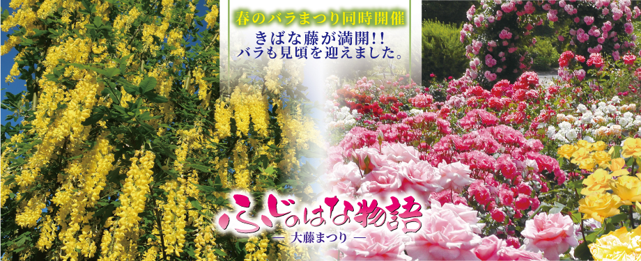 ふじのはな物語2026