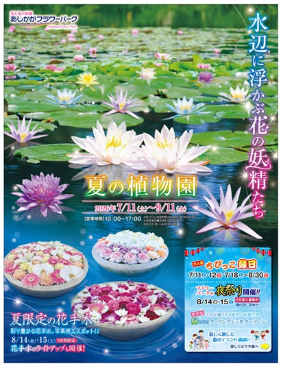 水辺に浮かぶ花の妖精たち