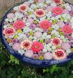 夏の花手水