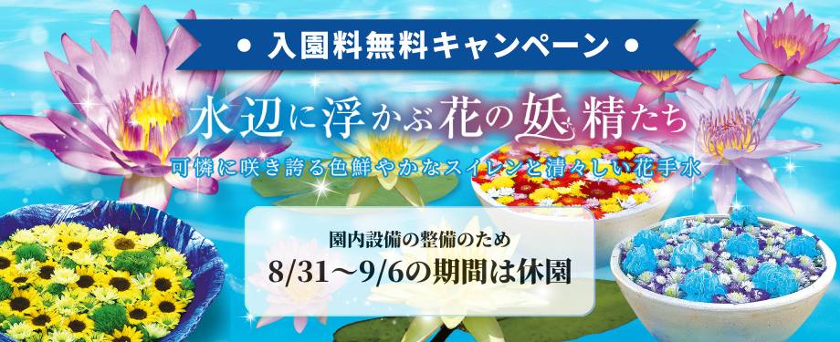夏の植物園 ～水辺に浮かぶ花の妖精たち～