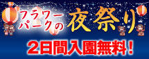 フラワーパークの夜祭り