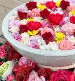 夏の花手水