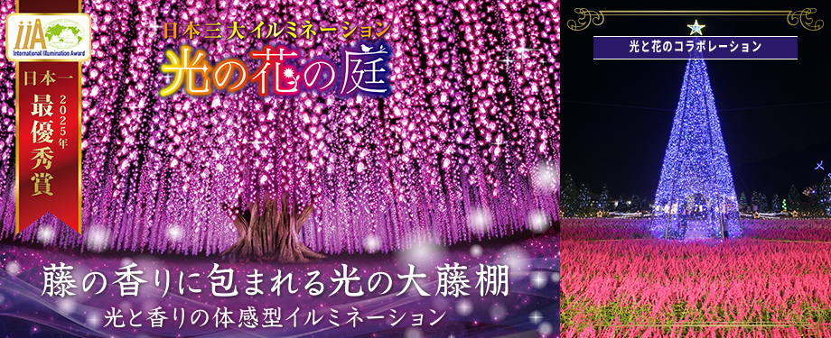 2026_光の花の庭