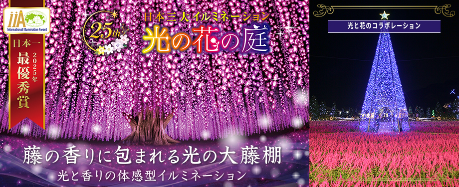 2026_光の花の庭