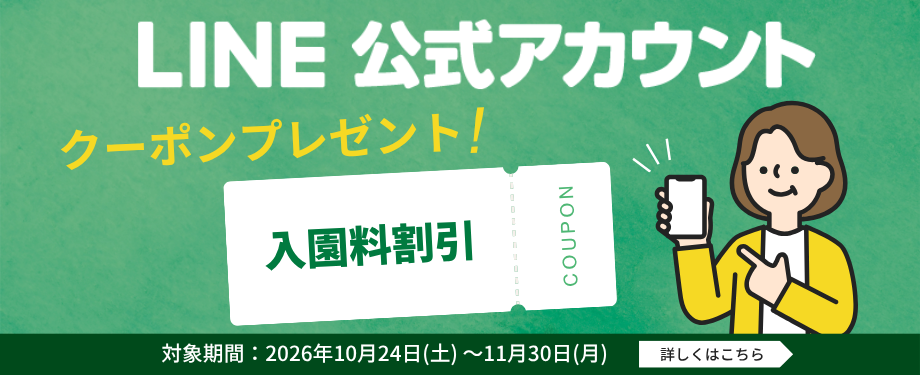 LINEクーポン
