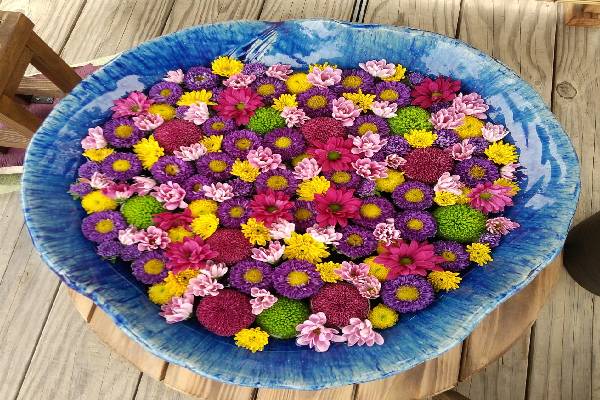 お知らせ詳細 | お知らせ一覧 | あしかがフラワーパーク