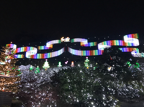 花の状況 | パーク便り | あしかがフラワーパーク