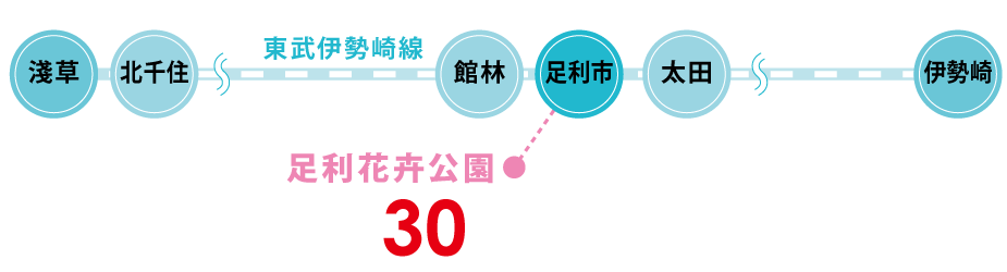 開車來園的遊客