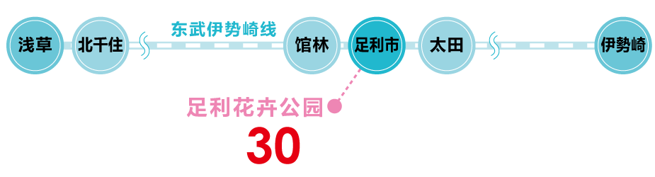 開車來園的遊客