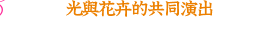 光與花卉的共同演出