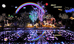 Flower Park Christmas Christmas Fantasy
