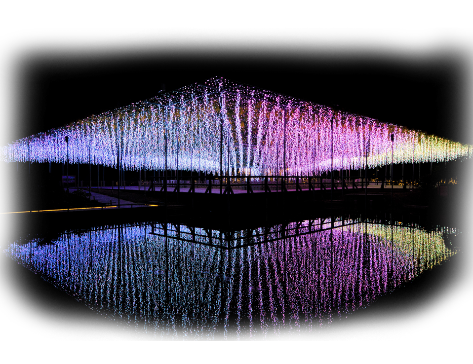 雪世界 光之睡莲