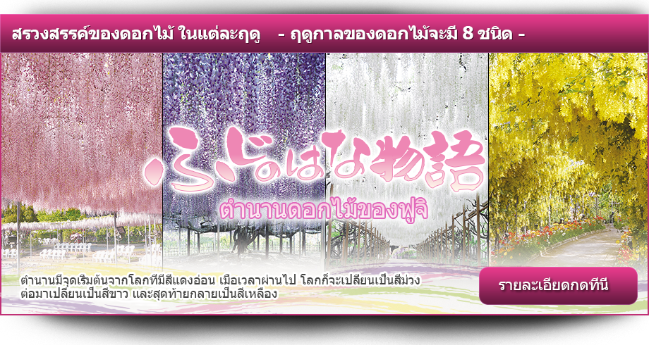 สรวงสรรค์ของดอกไม้ ในแต่ละฤดู　- ฤดูกาลของดอกไม้จะมี 8 ชนิด -