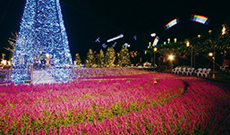 การรวมดอกไม้กับการประดับไฟเข้าด้วยกัน