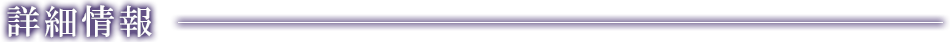 詳細情報