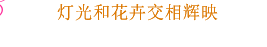 灯光和花卉交相辉映