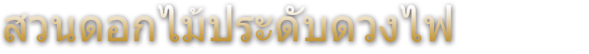 ทางตะวันออกของญี่ปุ่นมีการประดับดวงไฟที่ใหญ่ที่สุดถึง 4.5 ล้านดวง