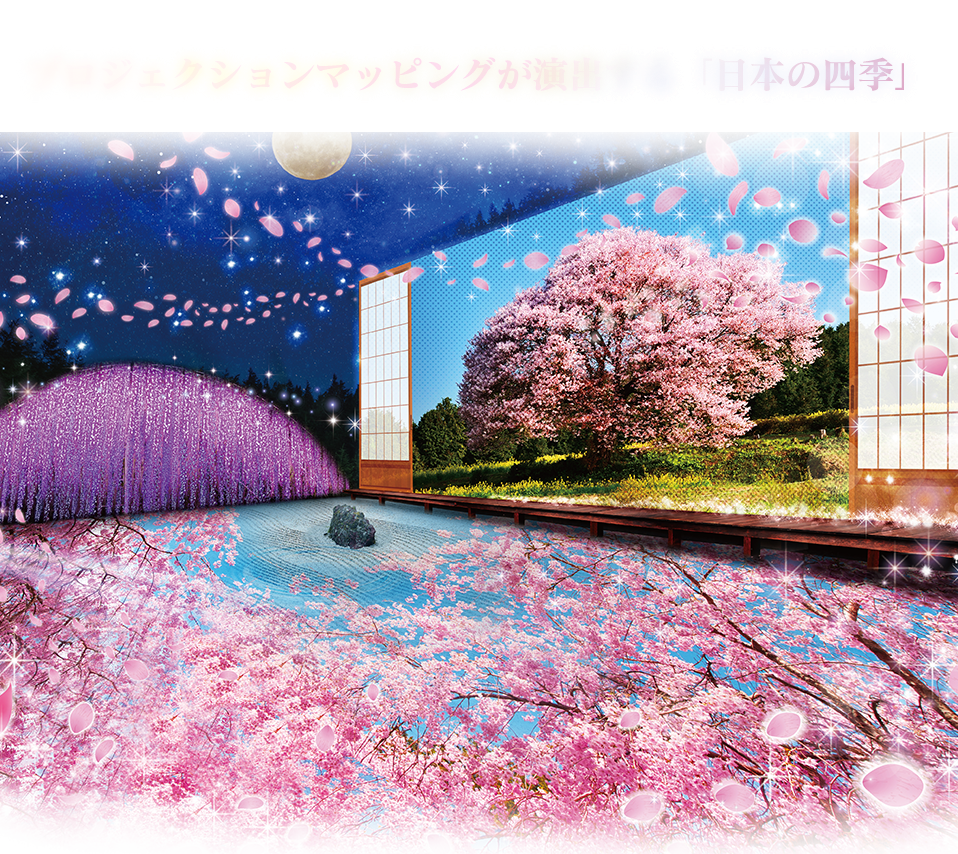 光のバラ園に120mも続く光の壁画が新登場!!