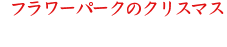 フラワーパークのクリスマス ～クリスマスファンタジー～
